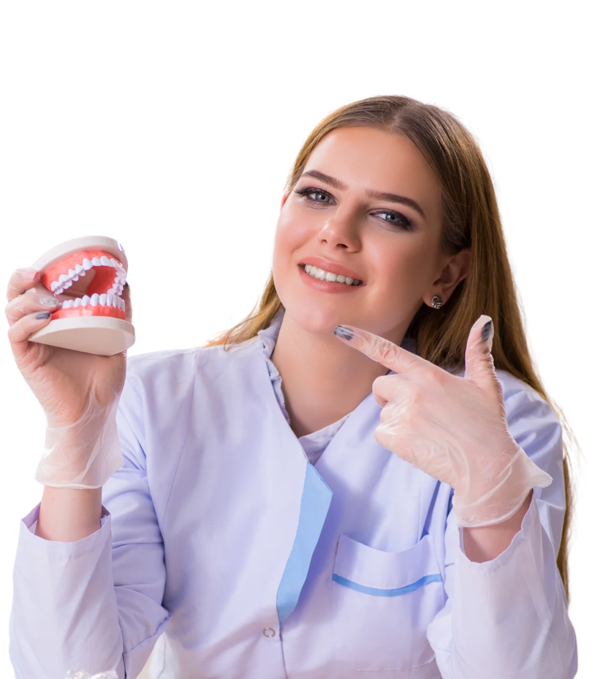 Illustrative photograph of a professional explaining a dental model